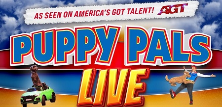 Puppy Pals LIVE - as seen on America's Got Talent!